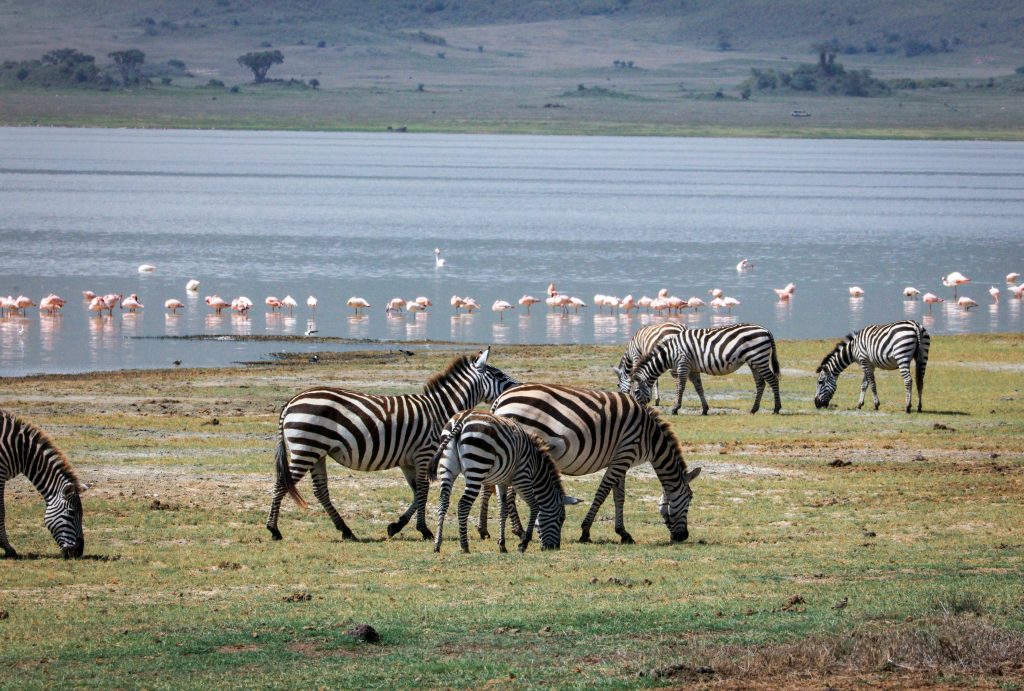 Lake Manyara National Park